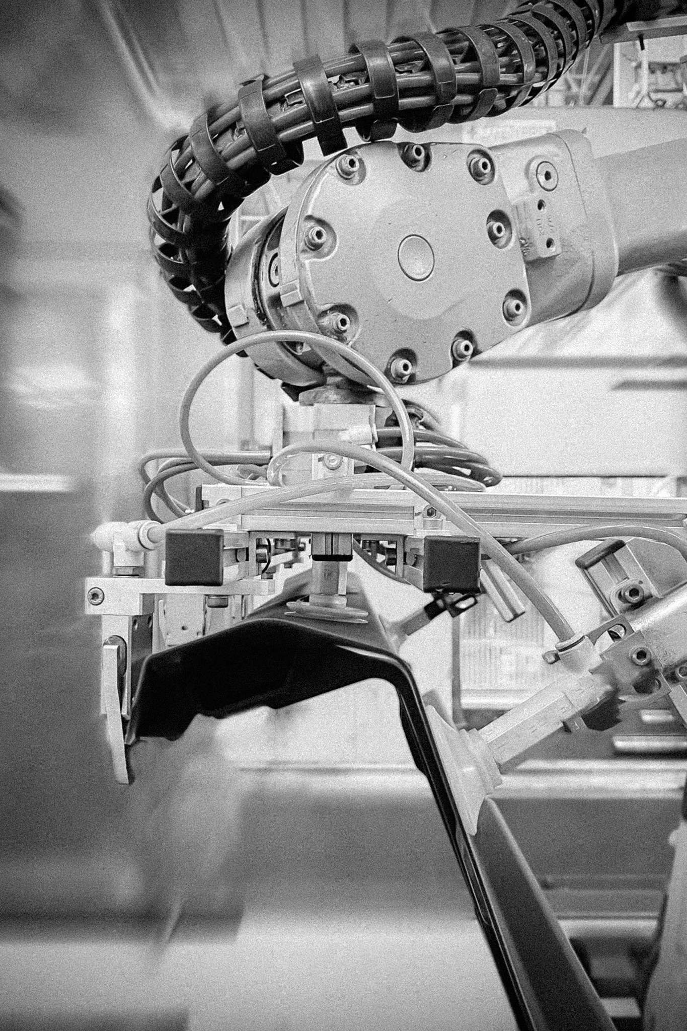 istockphoto-1484014861-2048x2048